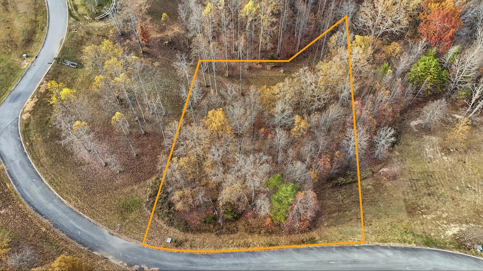 481 Hidden Forest Trail, Spring City, TN 37381 - photo 1