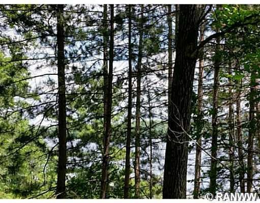 Lot 1 Hwy Ff, Webster, WI 54893 - photo 1