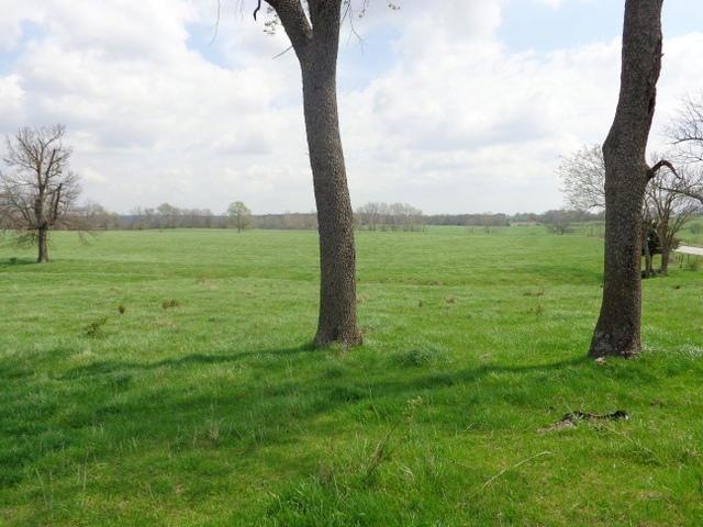 945 Missouri 32, Bolivar, MO 65613 - photo 1