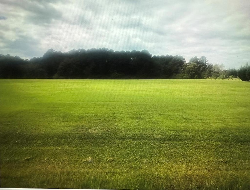 01 Lakeridge Dr, Adel, GA 31620 - photo 1