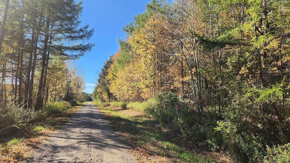 0 Wagner Rd unit 25650308, Dansville, NY 14437 - photo 1