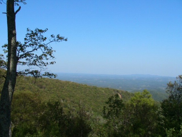 Main View