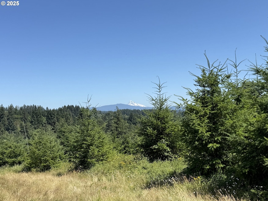 0 NE 277th Ave, Camas, WA 98607 - photo 1