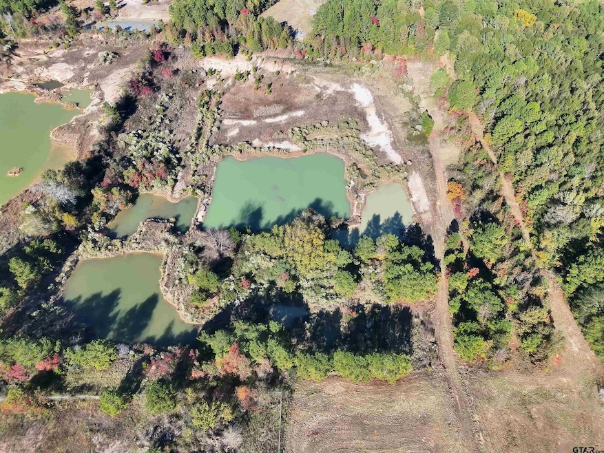 0 Southwest Loop, Carthage, TX 75633 - photo 1