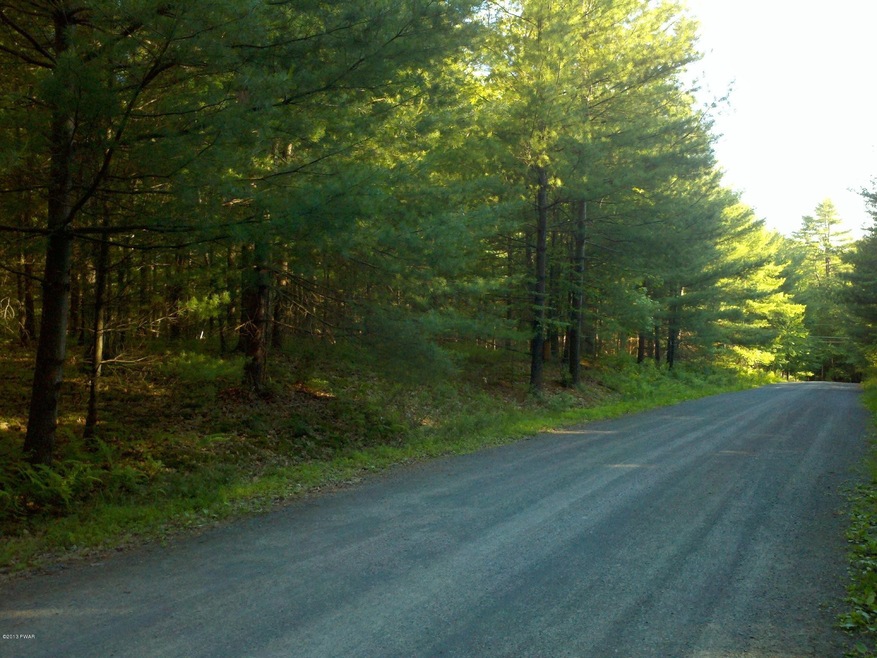 1253 Pennsylvania 590, Lackawaxen, PA 18435 - photo 1