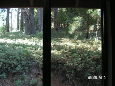 VIEW OUT KITCHEN WINDOW at sink, Beautiful private