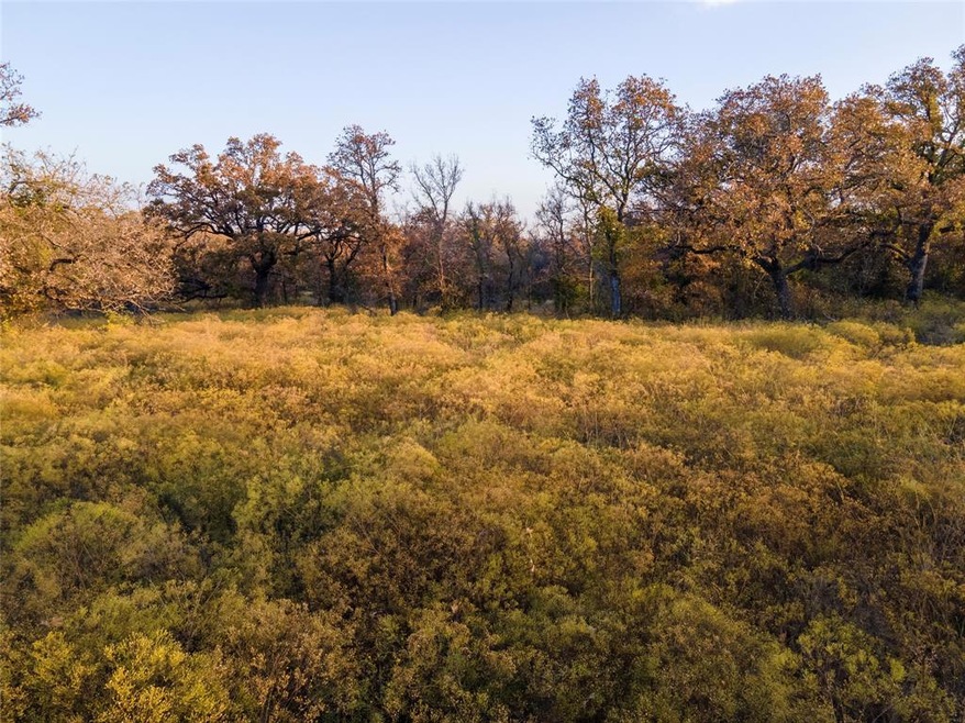 Lot 2 Texas 114, Paradise, TX 76073 - photo 1