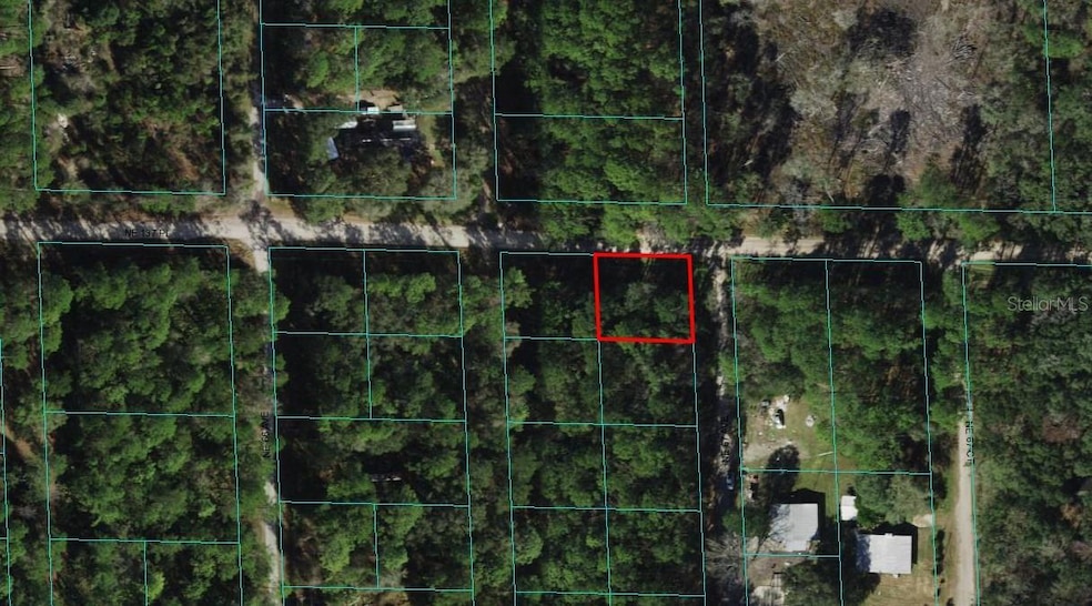 00 NE 137th Place, Citra, FL 32113 - photo 1
