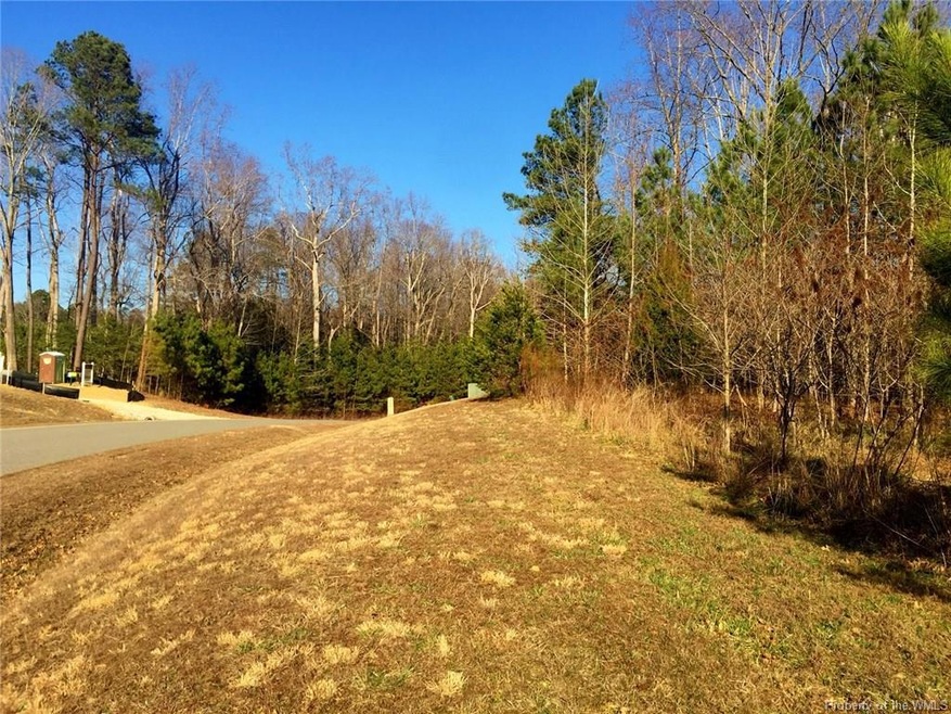 6009 New Wilkinson Way, Williamsburg, VA 23188 - photo 1