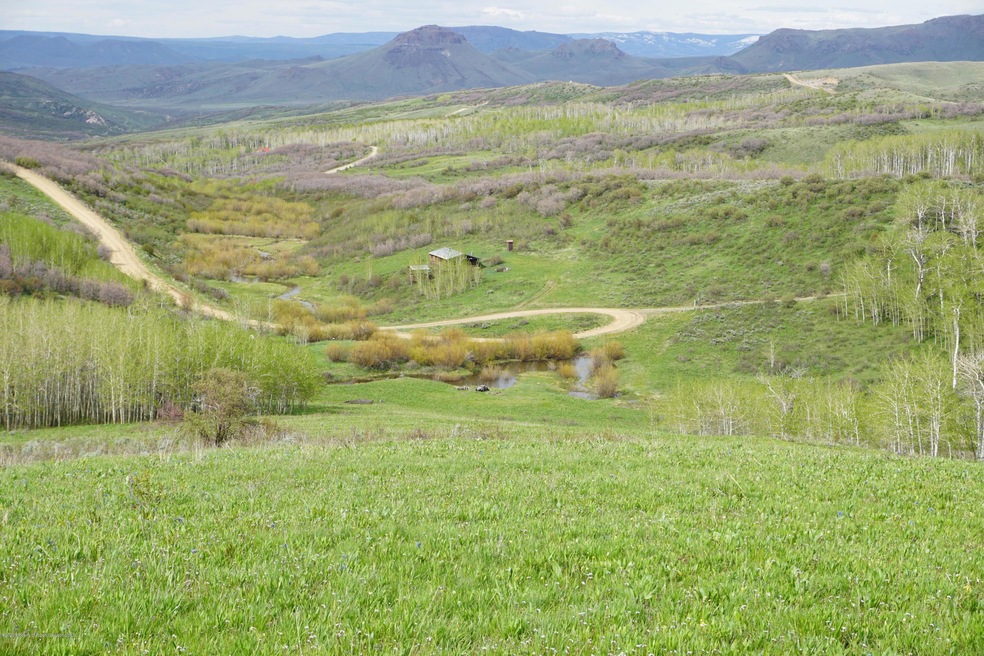 DSC00559