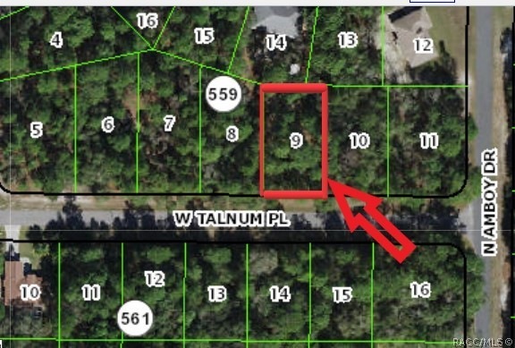 3215 W Talinum Place, Citrus Springs, FL 34433 - photo 1