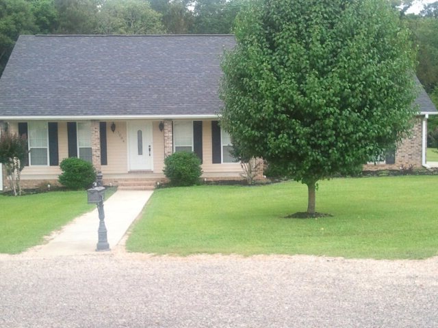 Main View