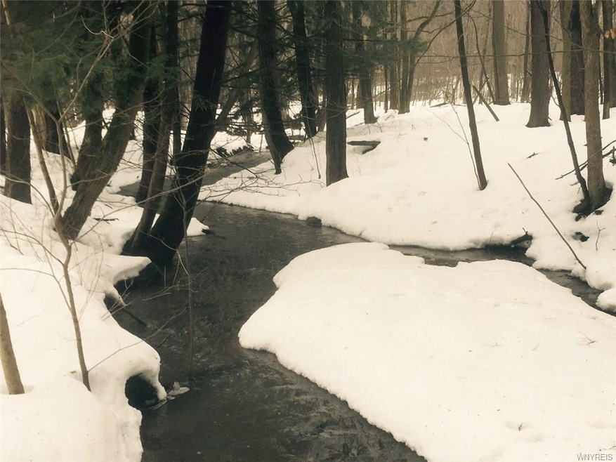 Lovely gentle creek sounds. Buffered with mature trees.