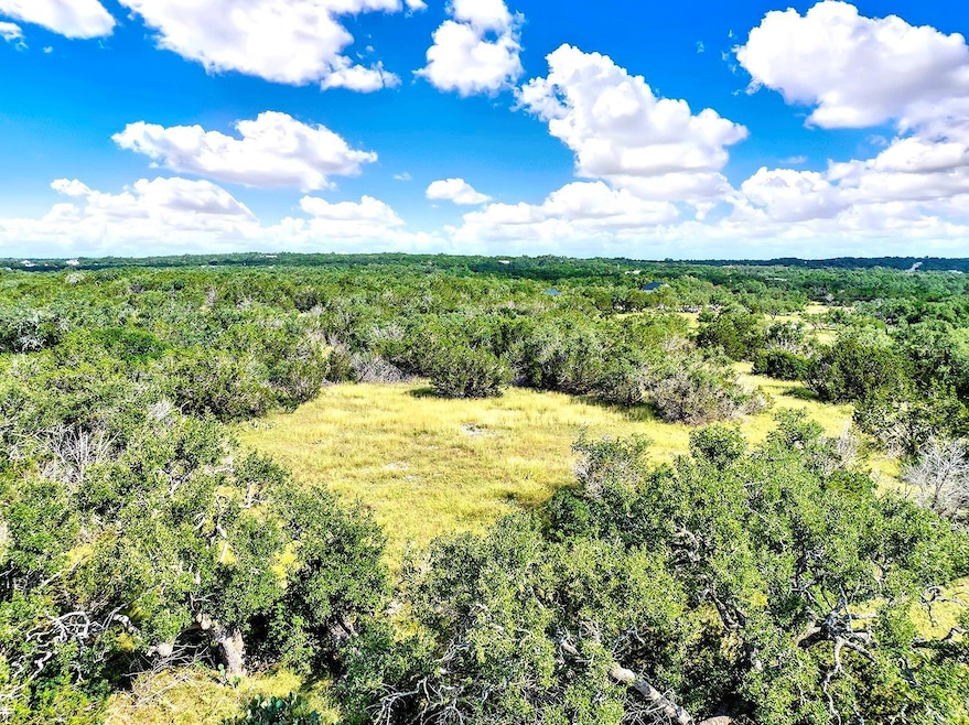 Drone / aerial view of a heavily wooded area