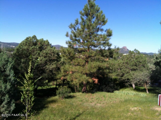 nicely treed with Thumb Butte view