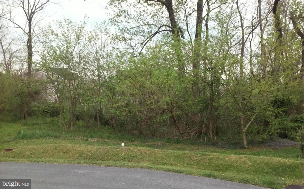 0 N Tamarac Dr unit WVJF141210, Shepherdstown, WV 25443 - photo 1