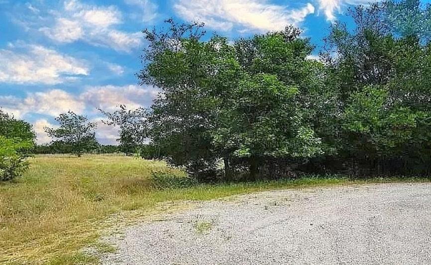 24003 Oak Shadow, Whitney, TX 76692 - photo 1