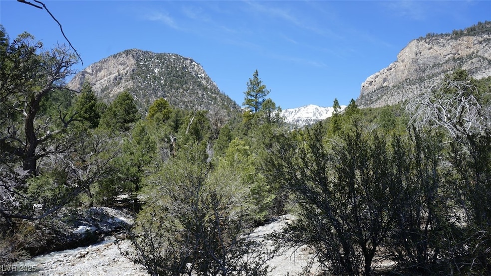 View of mountain feature featuring a wooded view