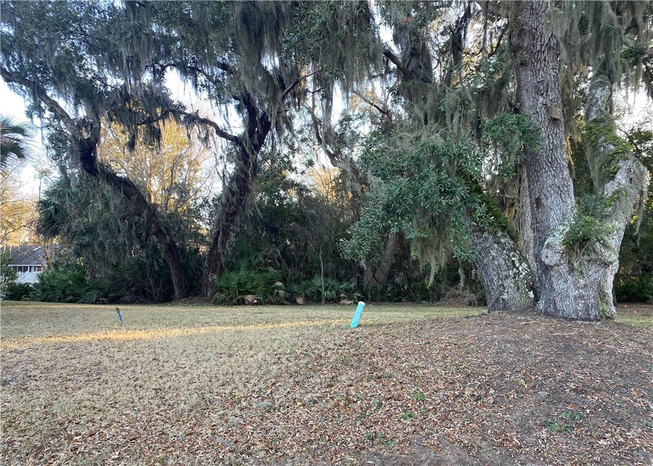 173 Country Club Dr, St. Simons Island, GA 31522 - photo 1