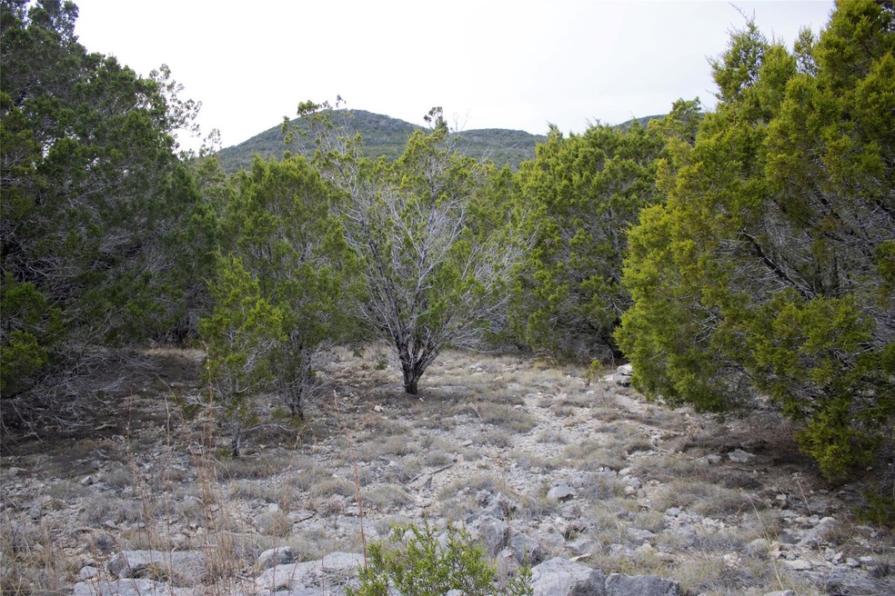 9102 Western Trail, Leander, TX 78641 - photo 1