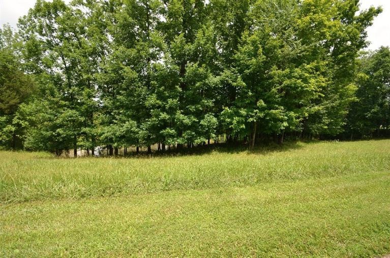1.3 acre lot with private man made pond.