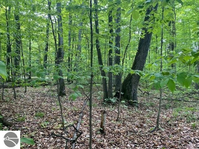 0 S Linden Ct unit 10, Cedar, MI 49621 - photo 1