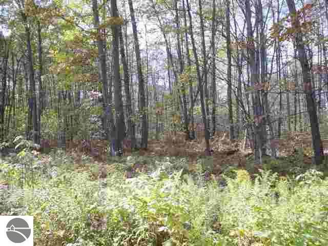 0 Richard Dr, West Branch, MI 48661 - photo 1