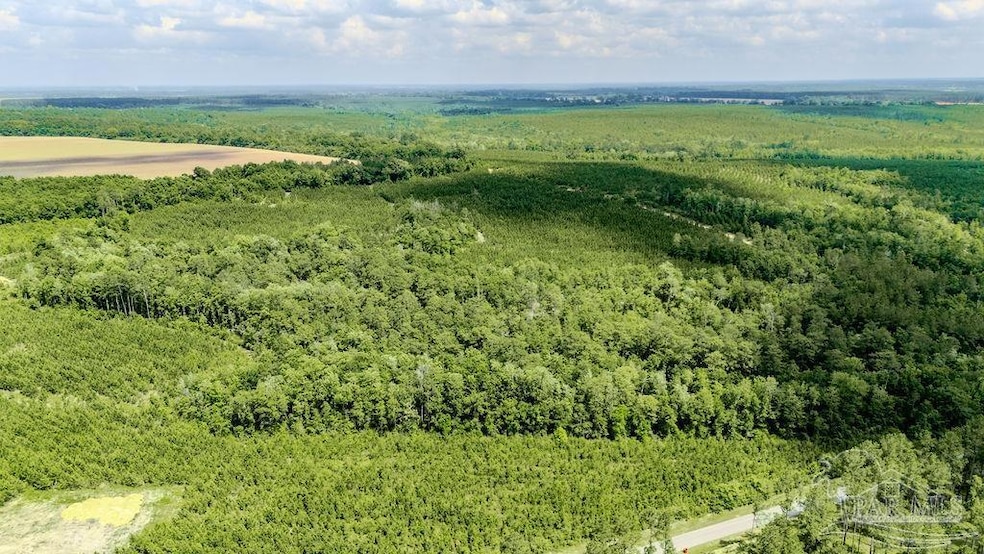 48 Watson Rd, Jay, FL 32565 - photo 1