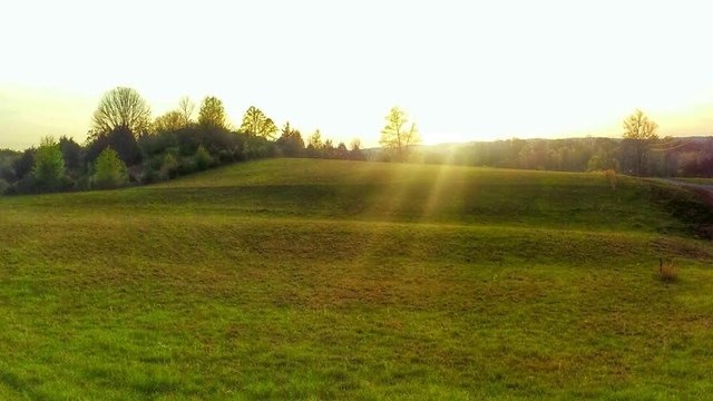 Main View