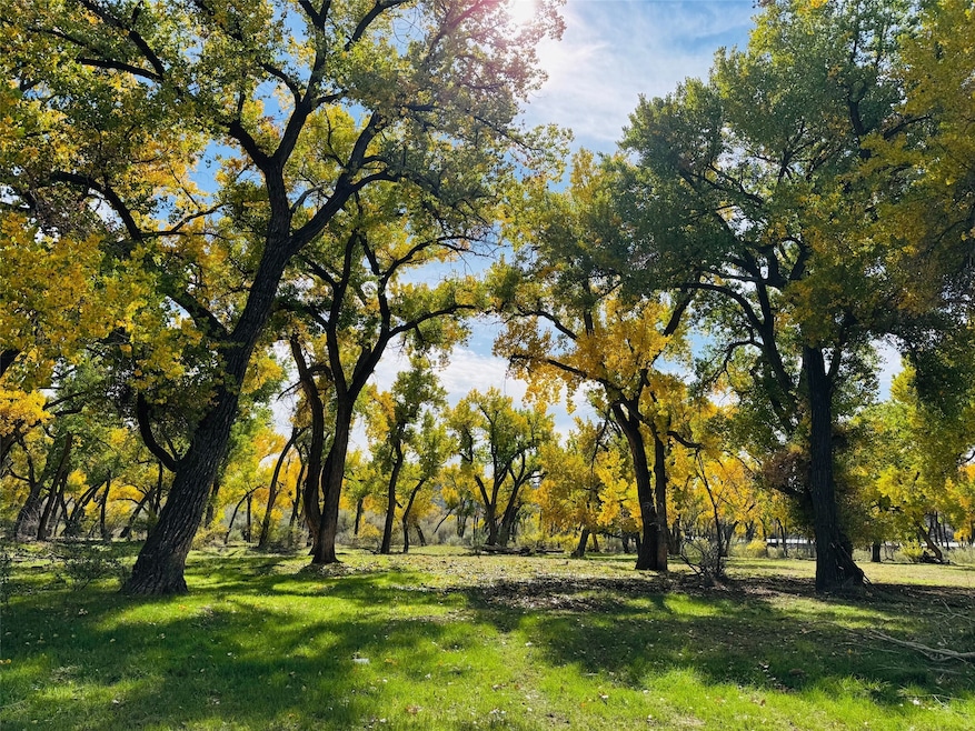 1459 New Mexico 173, Navajo Dam, NM 87419 - photo 1
