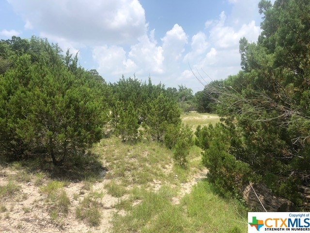 2.71 +/- Acres Ritter St, Copperas Cove, TX 76522 - photo 1