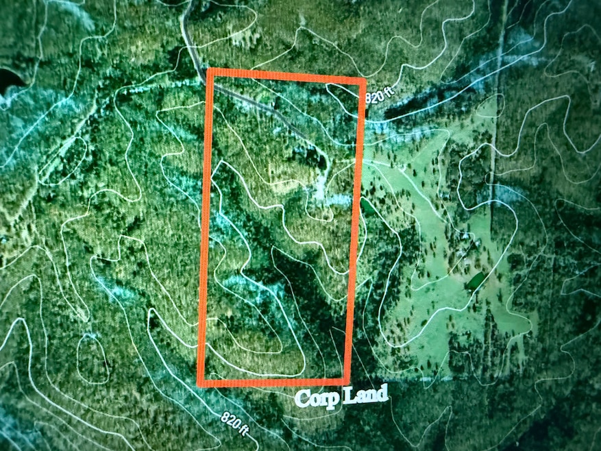 County Rd 243, Wheatland, MO 65779 - photo 1