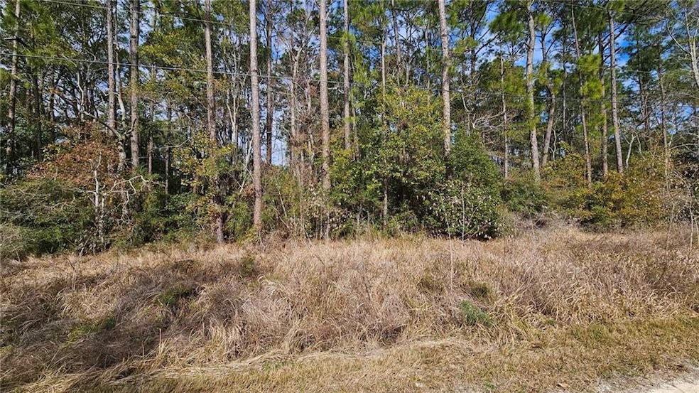 View of nature