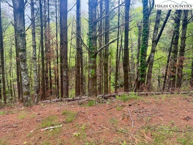 25 Davis Acres Dr, West Jefferson, NC 28694 - photo 1