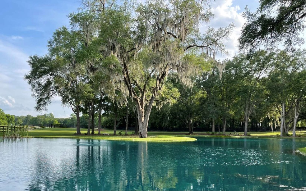 3431 SW Custom Made Cir, Lake City, FL 32024 - photo 1