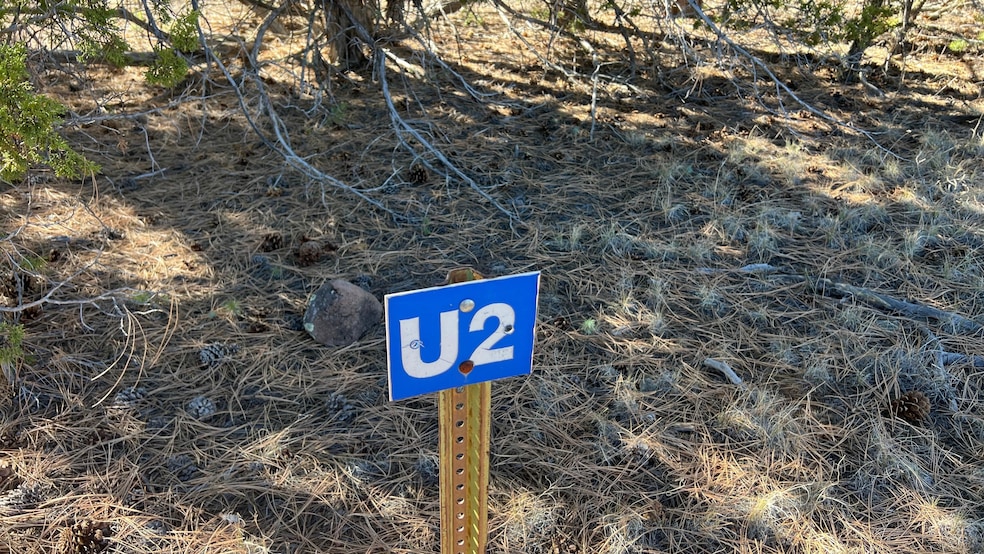 0 Paradise Loop unit 25411750, Quemado, NM 87829 - photo 1