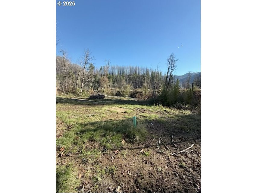 91241 Blue River Rd, Blue River, OR 97413 - photo 1