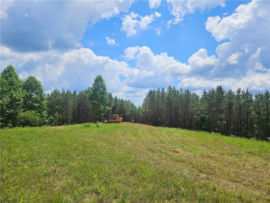 View of local wilderness