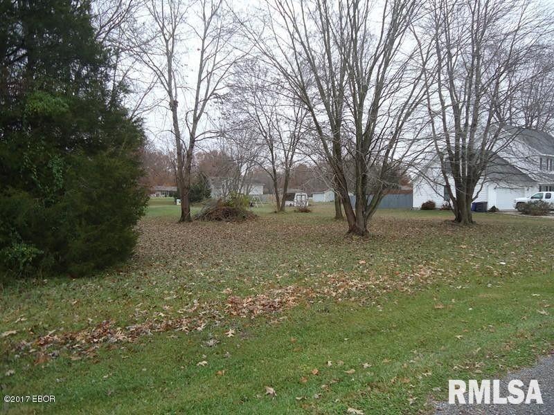 Lot 16 Cherokee Dr, Harrisburg, IL 62946 - photo 1