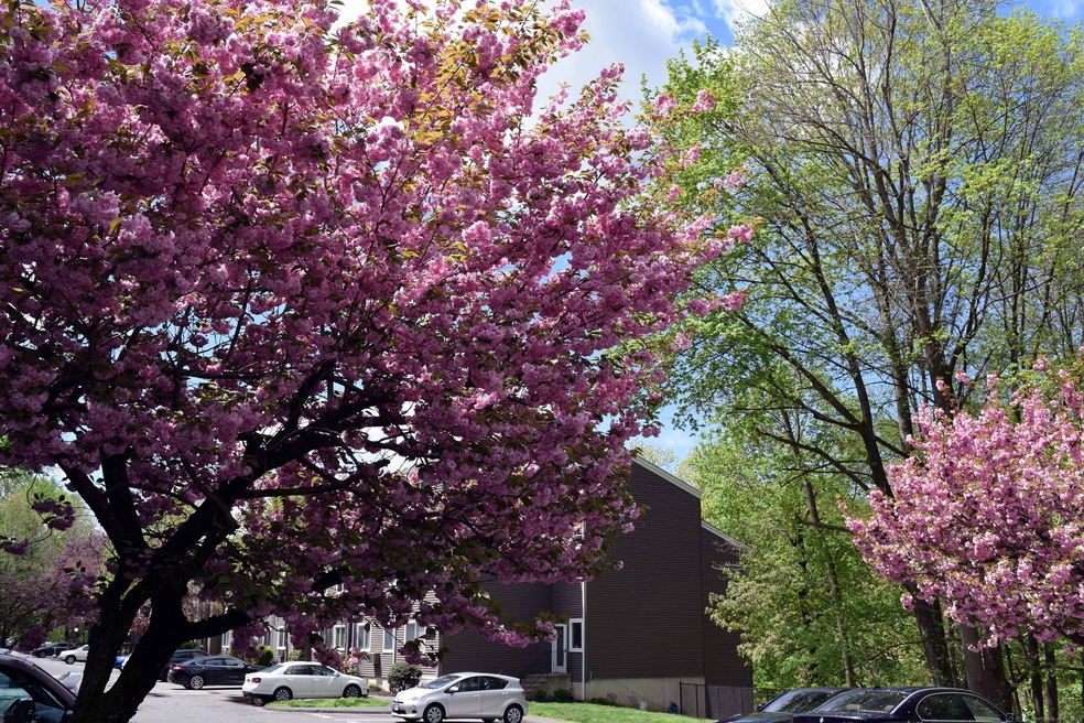 Riverbend unit B4, Danbury, CT 06810 - photo 1