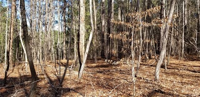 This 1.24 acre wooded lot has a relatively flat building envelope; Take down or leave up as many trees as you'd like; Lot perked in 2003 for a 4BR home; Bring your own builder and no time frame to build; The property is marked with orange tape and st