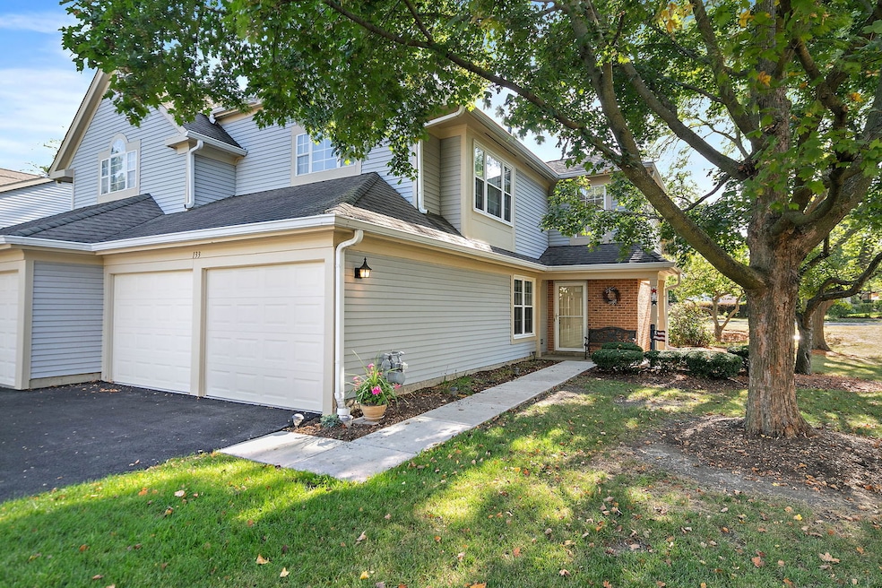 133 White Branch Ct S unit 539, Schaumburg, IL 60194 - photo 1