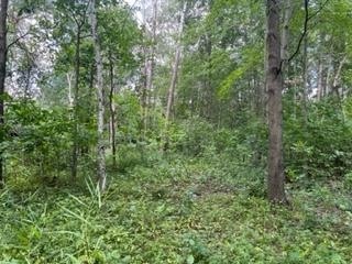 6.45 acres Dublin Rd, Byron, WI 54618 - photo 1