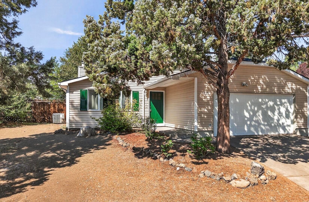 2025_09_05_2739_ne_cordata_Dr-28