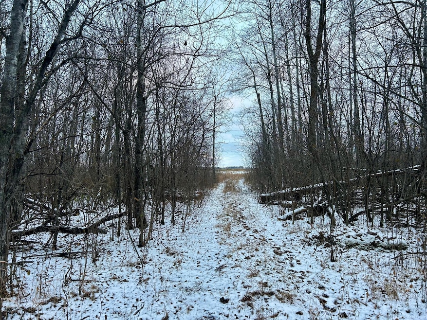 TBD 160th St NE, Norden Township, MN 56701 - photo 1