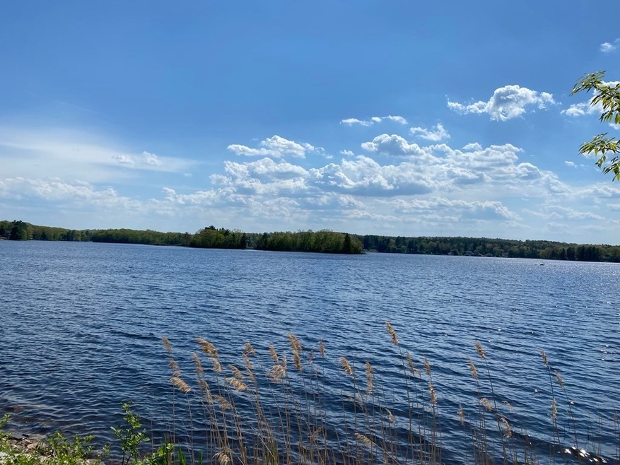 12 Wilson Ave, Spencer, MA 01562 - photo 1