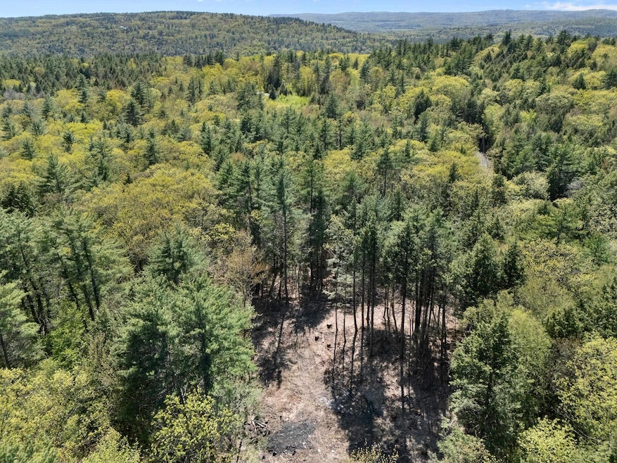 0 Old Ledge Rd unit 4950217, Westminster, VT 05346 - photo 1