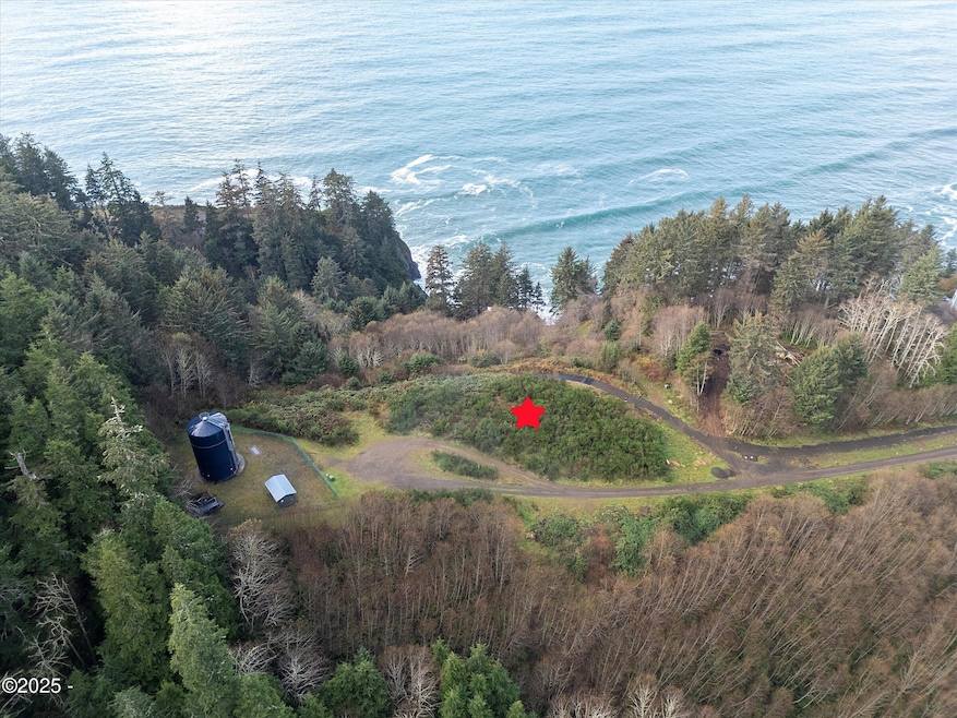 55000 Blk S Beach Rd Ptn Tl 300, Neskowin, OR 97149 - photo 1