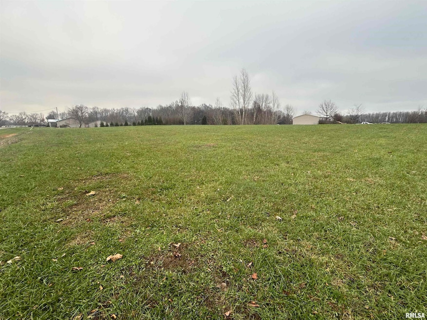 Lot 13 Krystal Ln, Metropolis, IL 62960 - photo 1