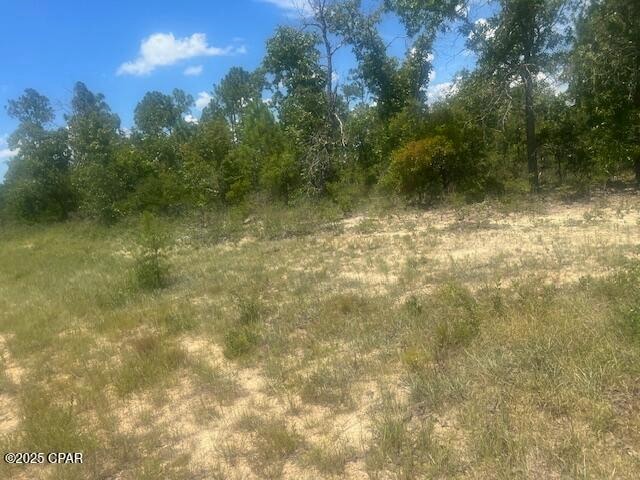 TBD Cachet Ct unit 9, Chipley, FL 32428 - photo 1